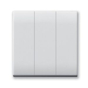 INTERRUPTEUR SOMEF SIMPLE ALLUM TRIPLE 10A 2MODULE