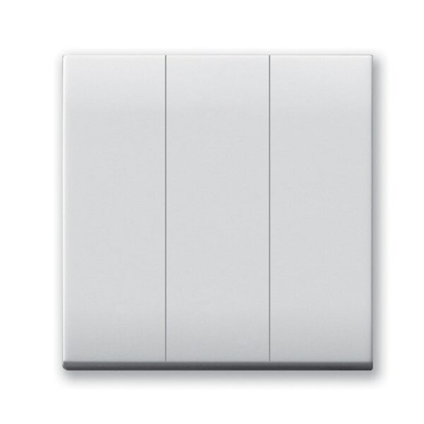 INTERRUPTEUR SOMEF SIMPLE ALLUM TRIPLE 10A 2MODULE